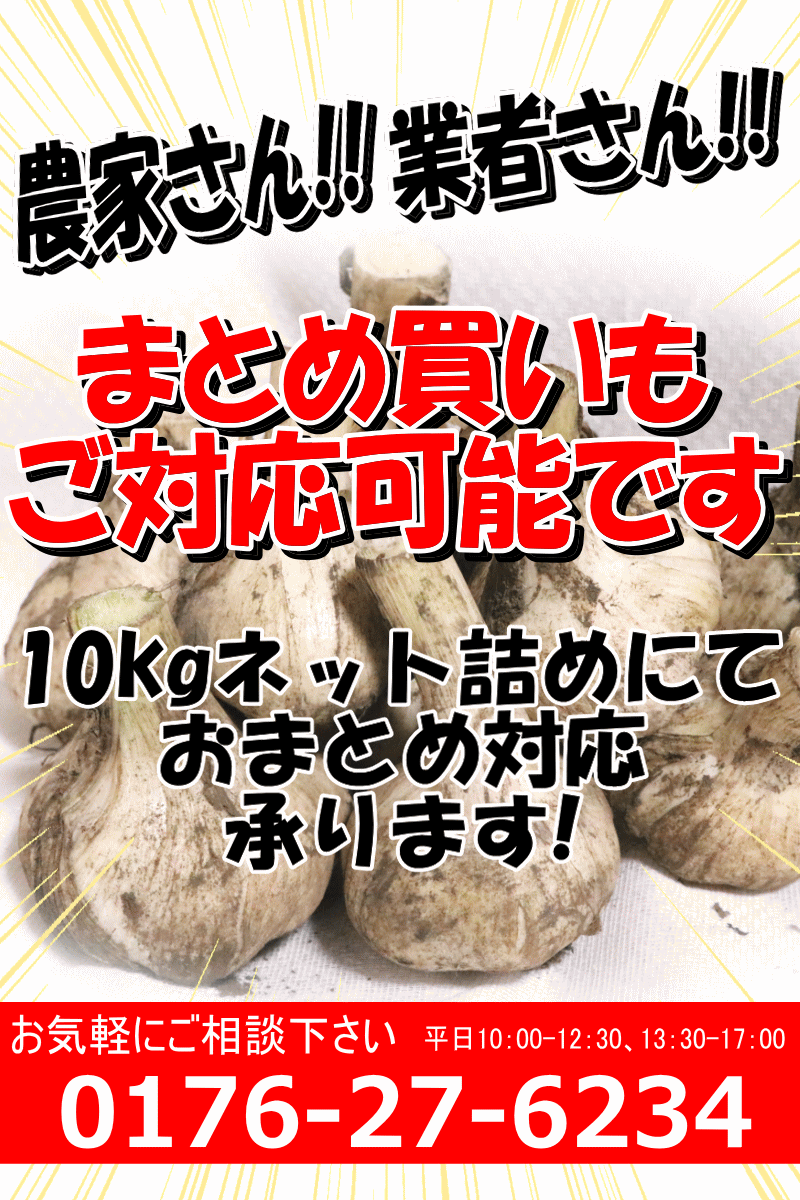 種用にんにく 青森 にんにく 種玉 1kg (約13玉-20玉前後) Lサイズメイン Ｍサイズ混合【種用/ニンニク/種子/福地ホワイト六片種】 :  1230-t : 青森期待の新人商店 - 通販 - Yahoo!ショッピング