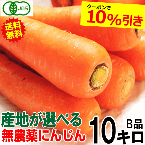 クソニンジン 30g✖️2袋セット　割引価格　和歌山産　自然栽培 クソニンジン 30g✖️2袋セット 割引価格 和歌山産 自然栽培