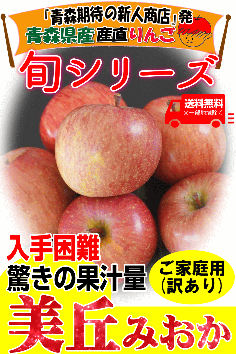 家庭用青森県産りんご美丘