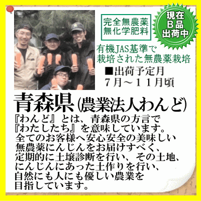 わんどB品