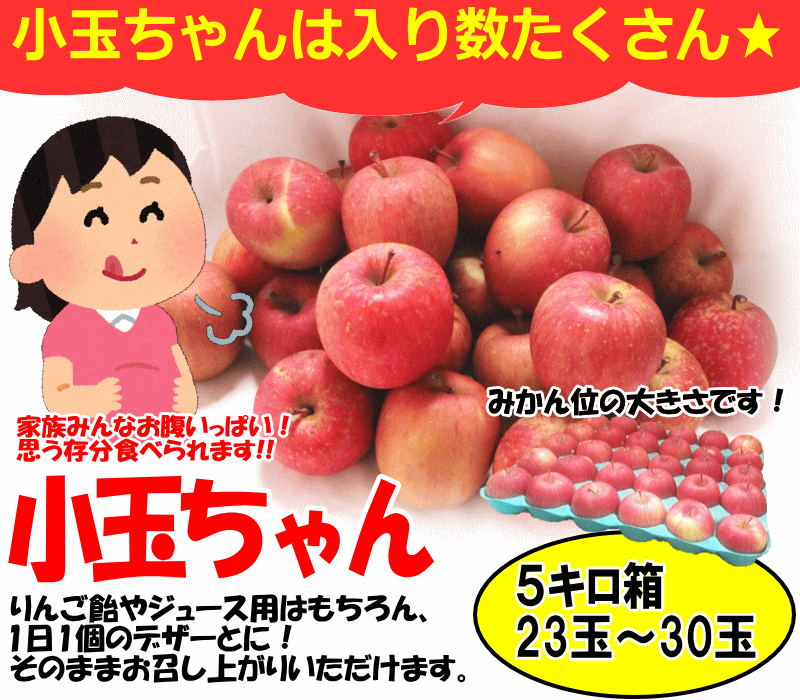 入り数