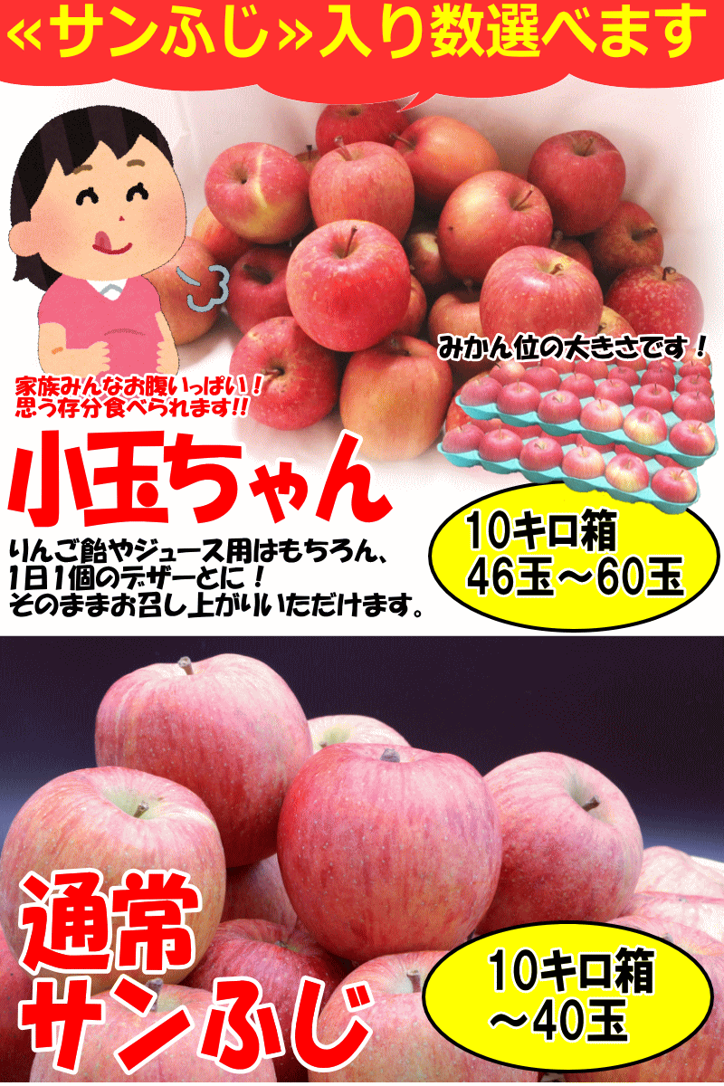 クーポン10%引き!! 青森 りんご 10kg箱 家庭用 高糖度サンふじ