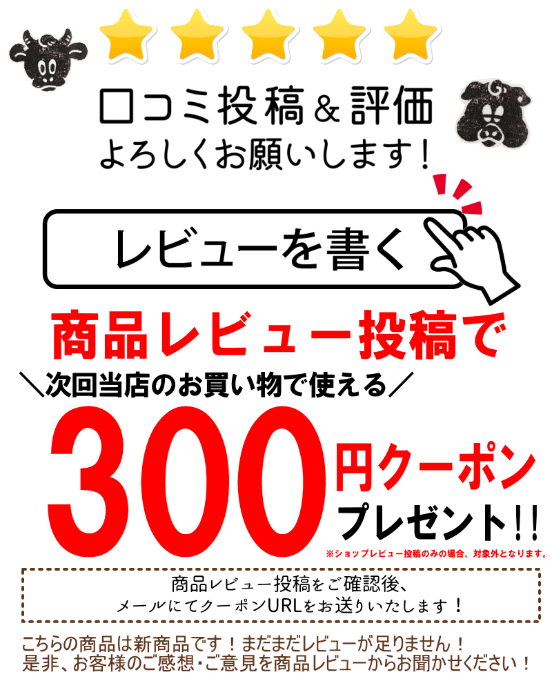 レビュー