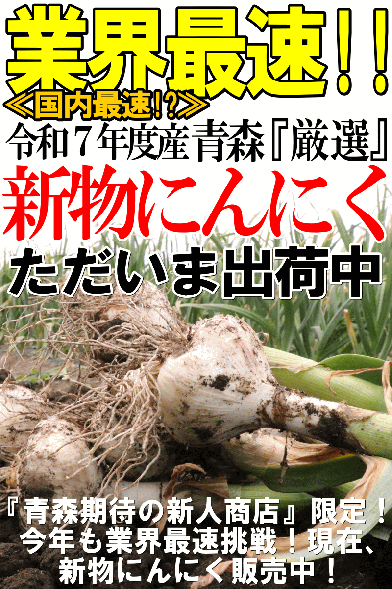 最速