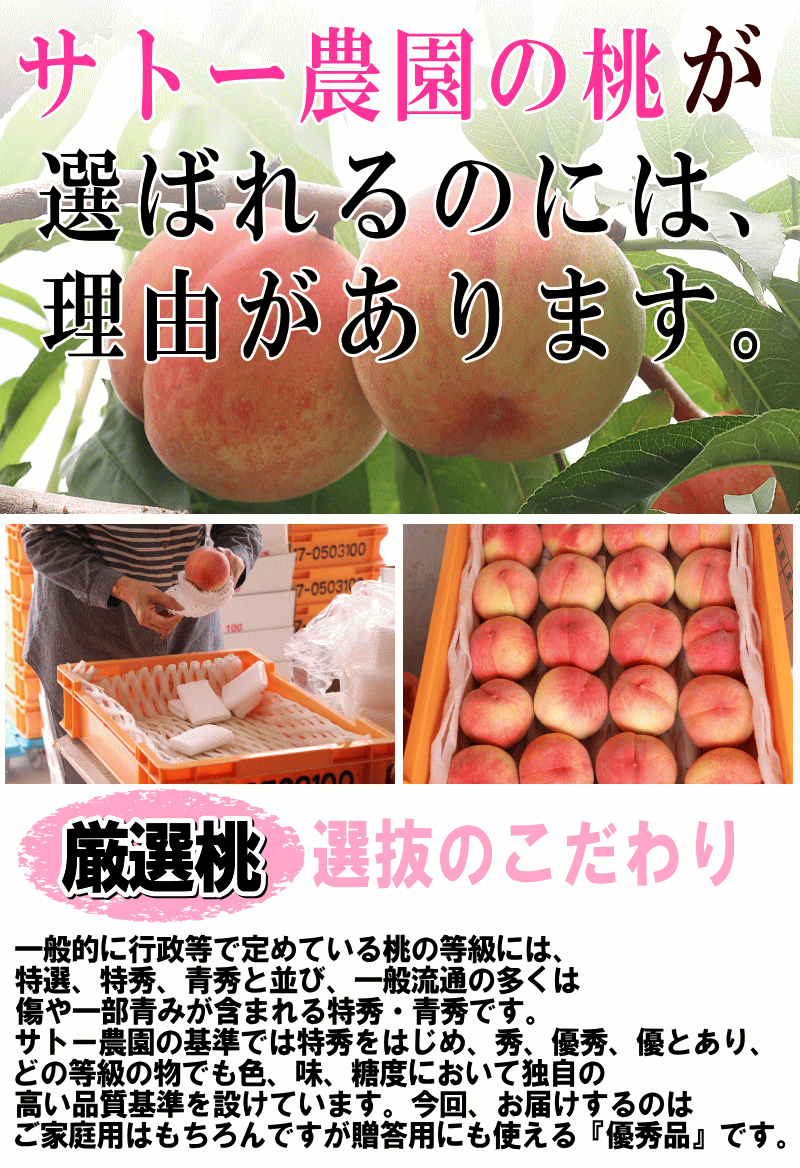 選ばれる理由01