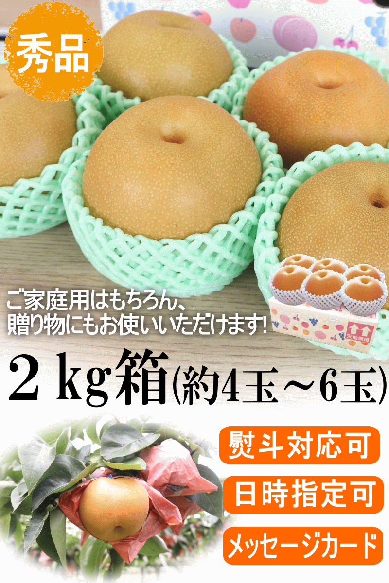 2キロ秀品