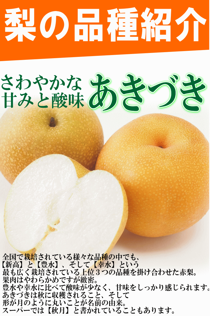 品種01