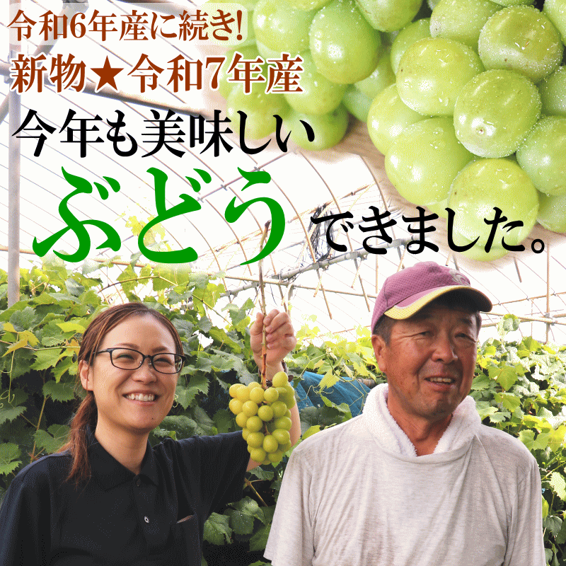 7年産
