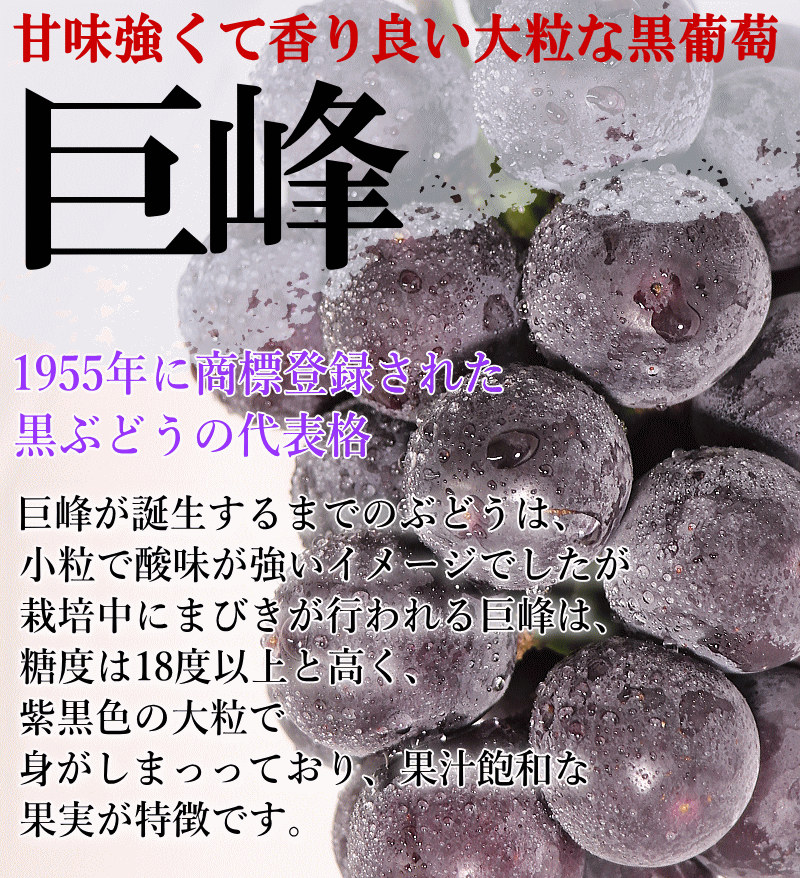 巨峰