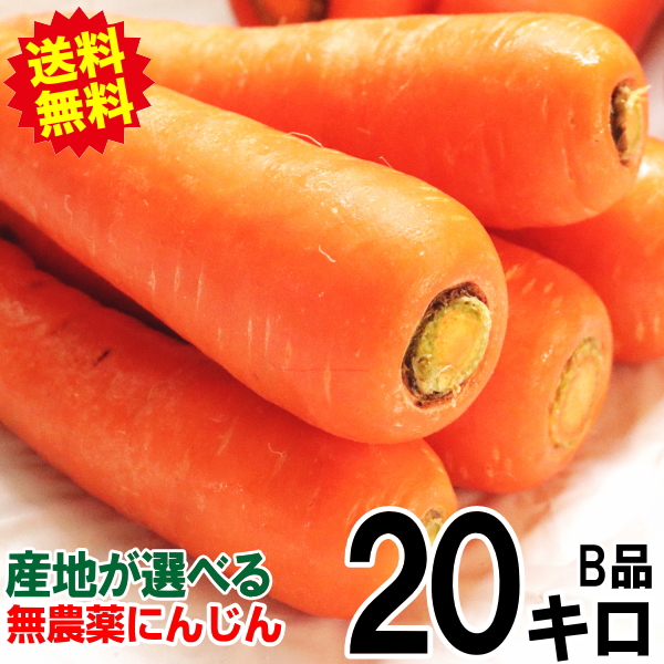 オーガニック 春にんじん 人参 20kg (10kg×2個) 無農薬 人参 送料無料