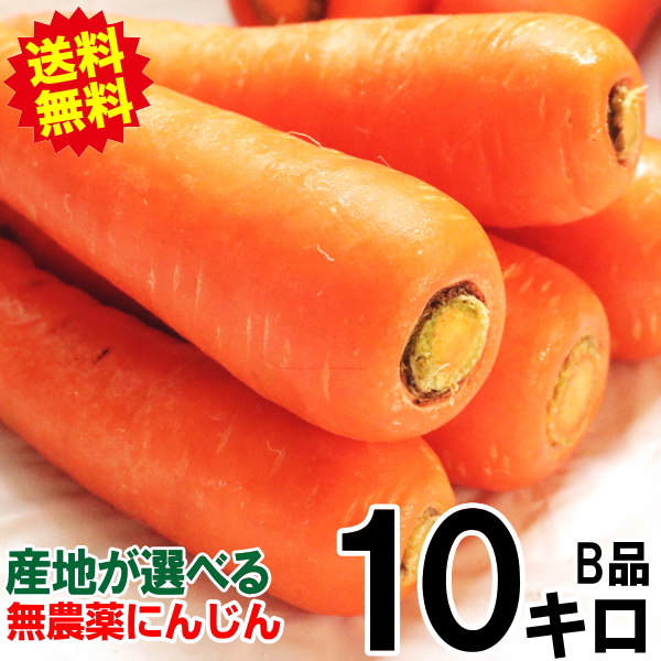 オーガニック 春にんじん 人参 20kg (10kg×2個) 無農薬 人参 送料無料