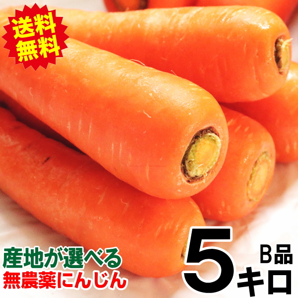 オーガニック にんじん 人参 5kg 無農薬 人参 送料無料 訳あり 5キロ