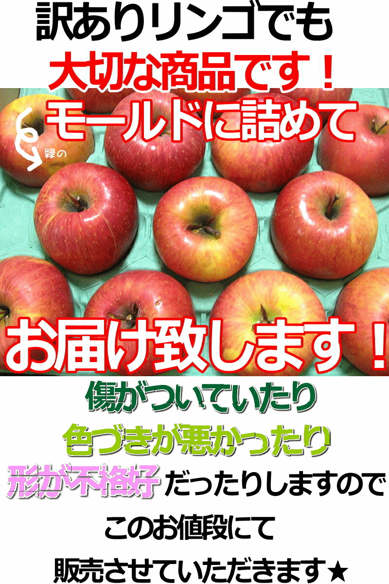 クーポンで10%引き 青森 りんご 10kg箱 訳あり サンふじはじめ選べる