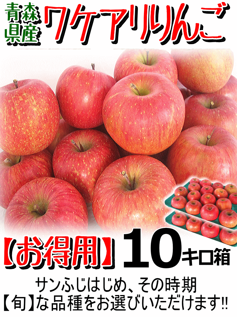 青森 りんご 10kg箱 訳あり サンふじはじめ選べる品種 送料無料 10キロ