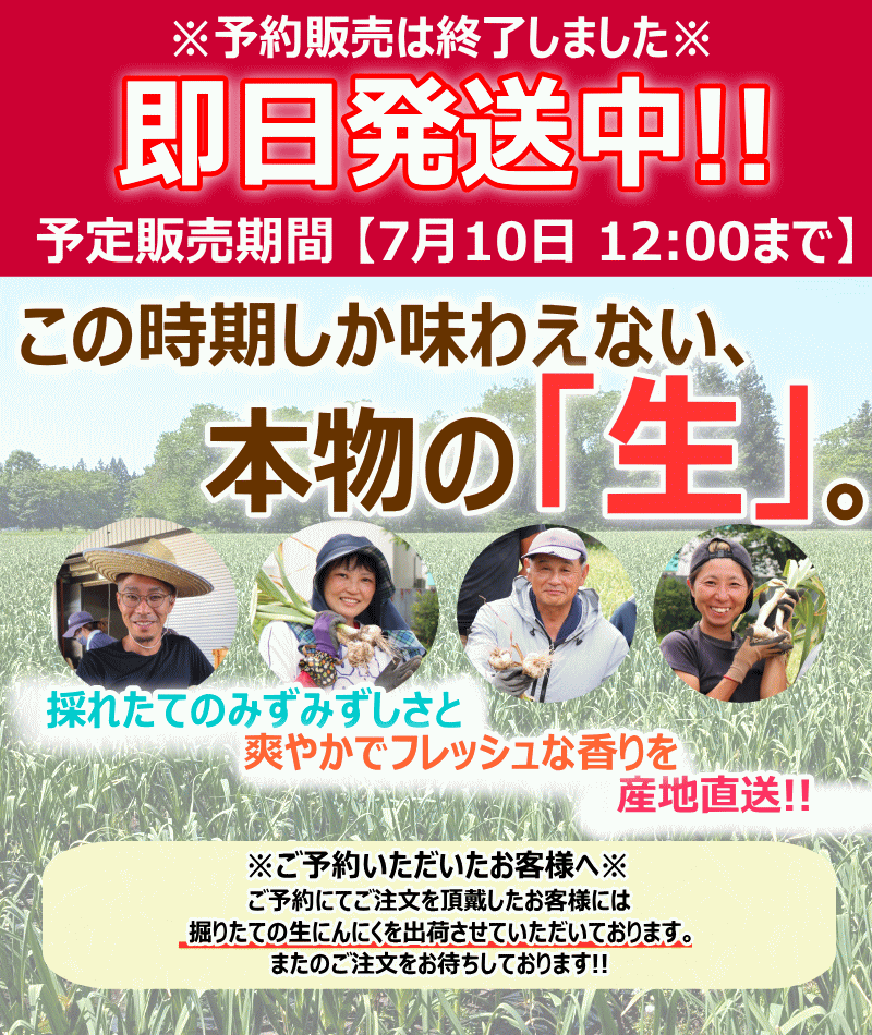 【即日出荷】にんにく 青森 1kg 幻の生にん...の詳細画像2
