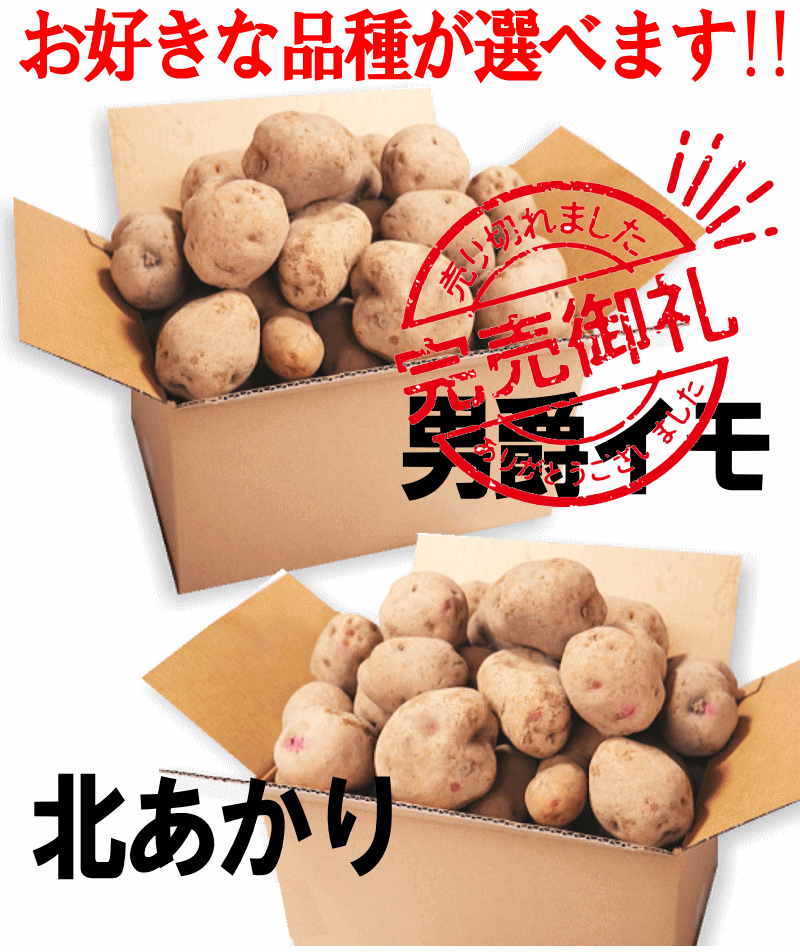 オーガニック じゃがいも 10kg 送料無料 AB品混合 岩手県産 無農薬栽培