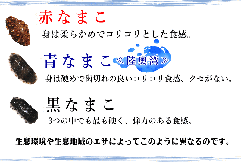 なまこの種類
