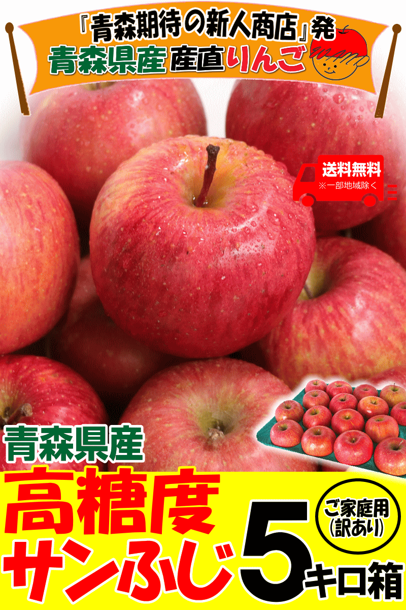 家庭用青森県産りんごサンふじ5キロ箱