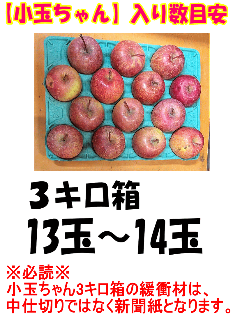 入り数