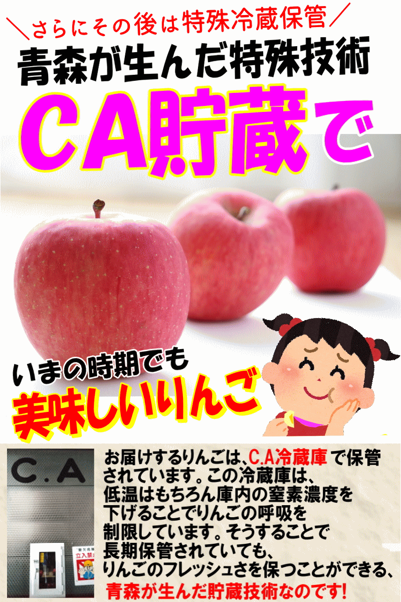 CA貯蔵