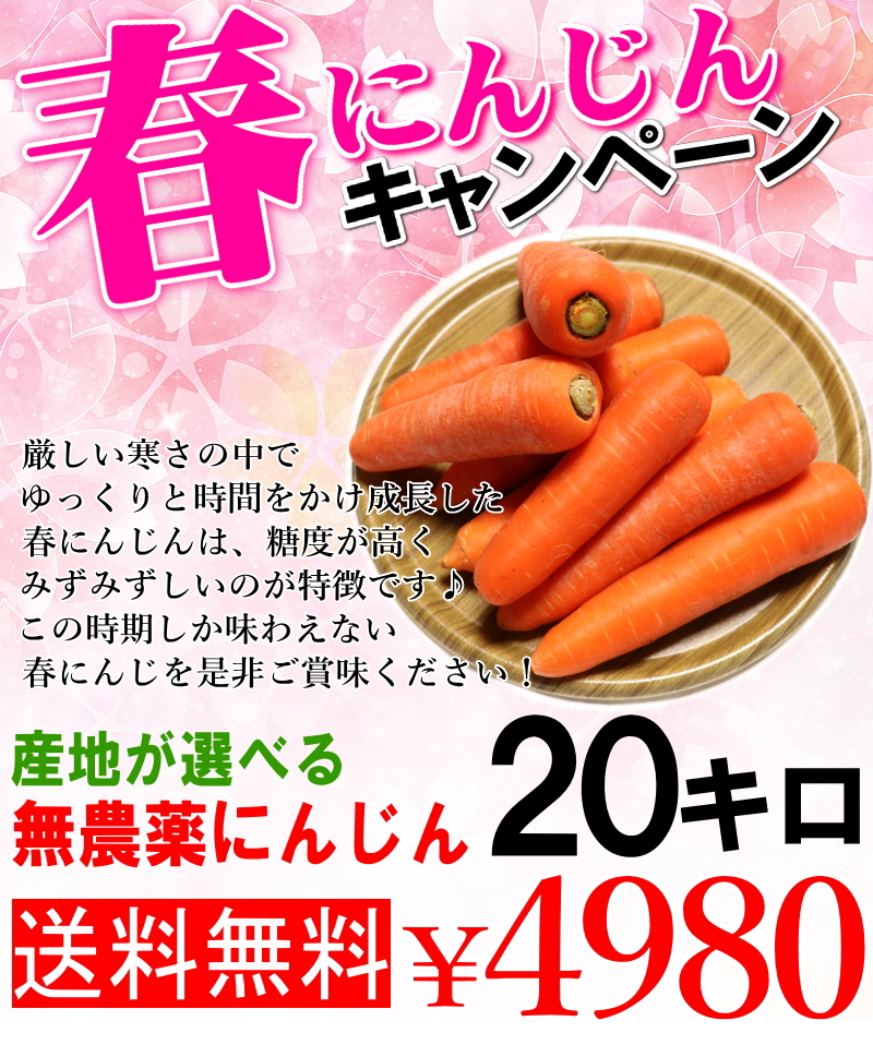 春セール
