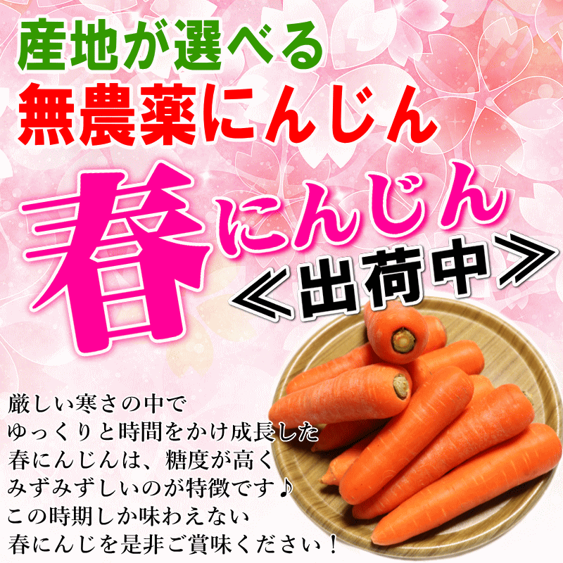 春セール
