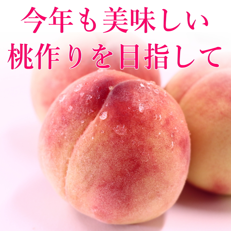 美味しい桃
