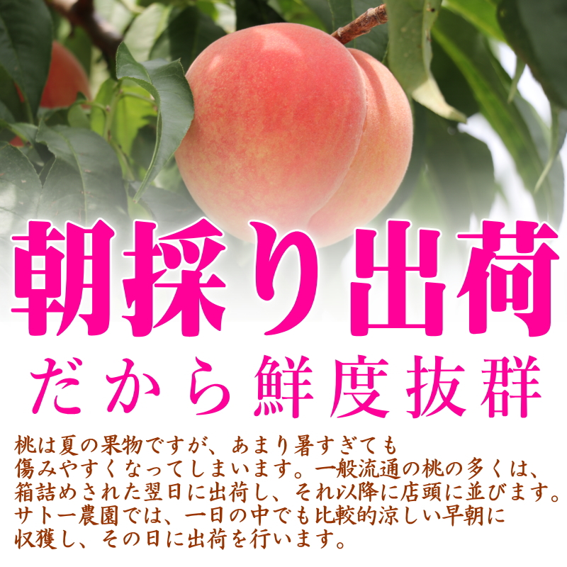 理由