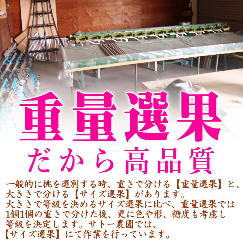 理由