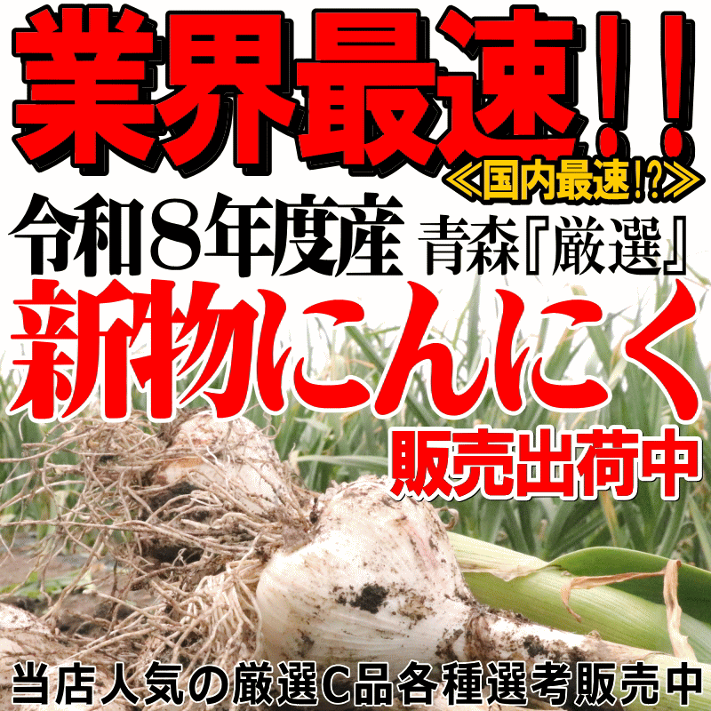 新物"