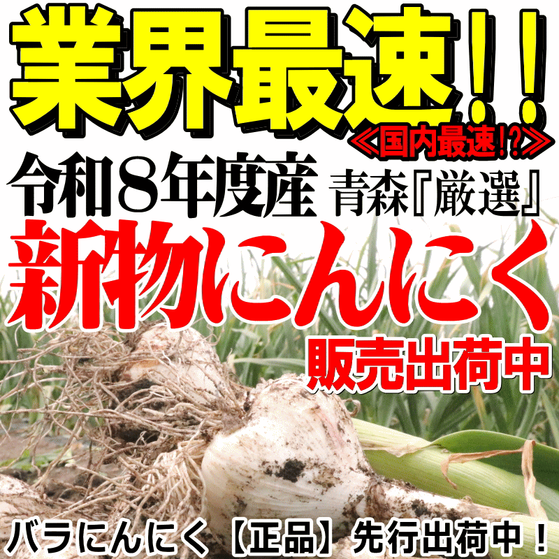 新物