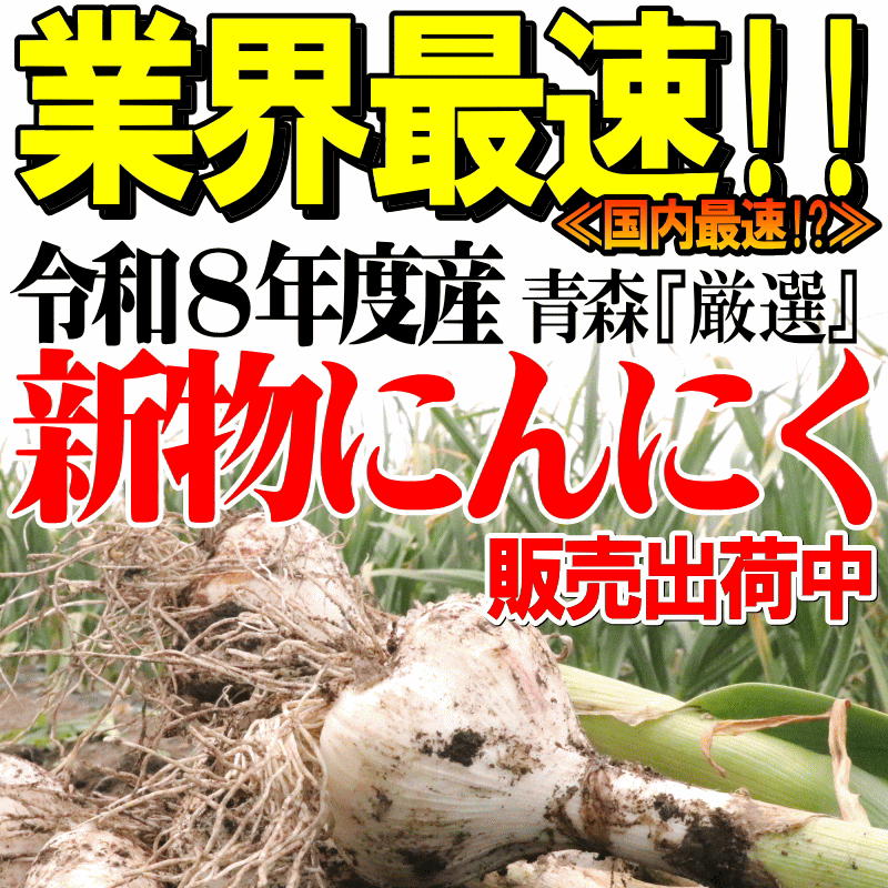 新物