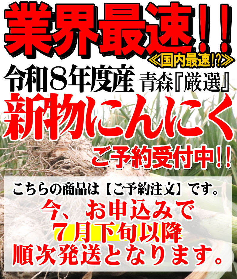 新物！にんにく 青森 1kg Lサイズ厳選 A品 5kg以上送料無料 国産