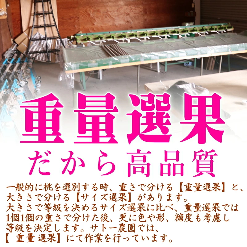 理由