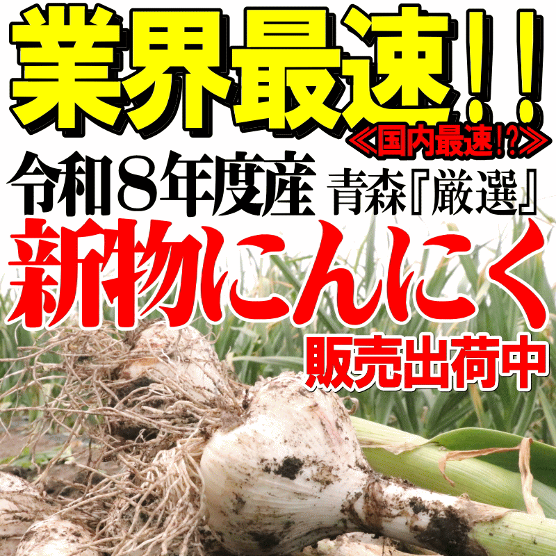 新物