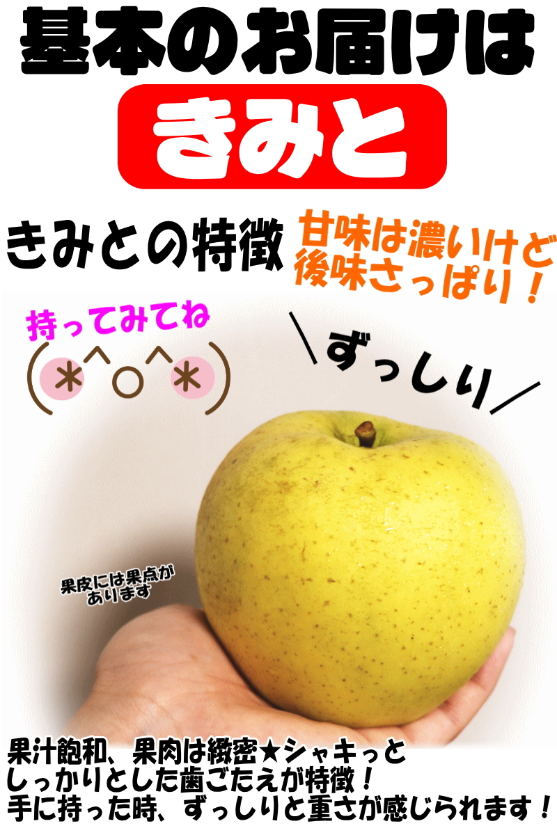基本はきみと