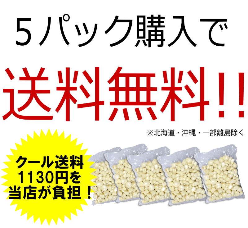 5パック送料無料