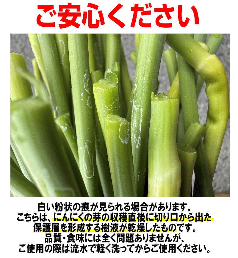 白いやつ