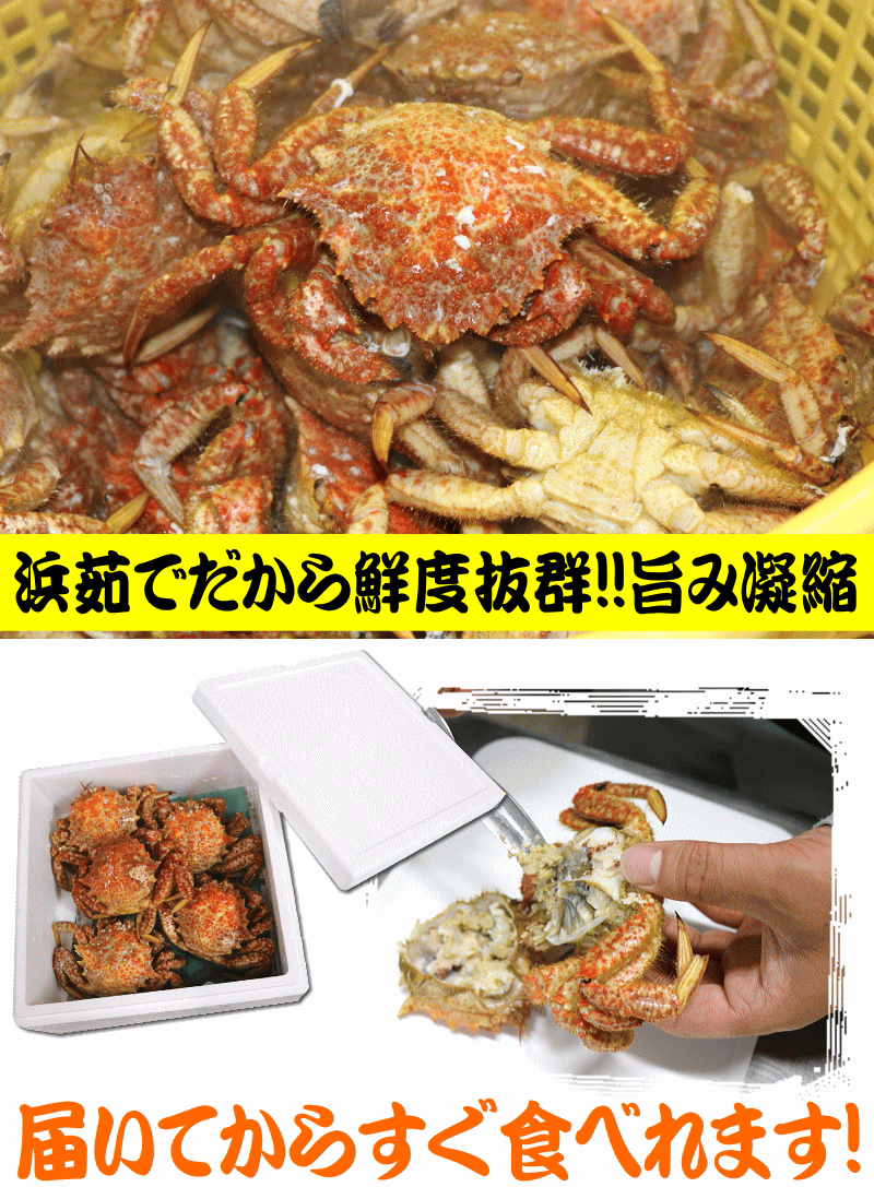 カニ 浜茹で