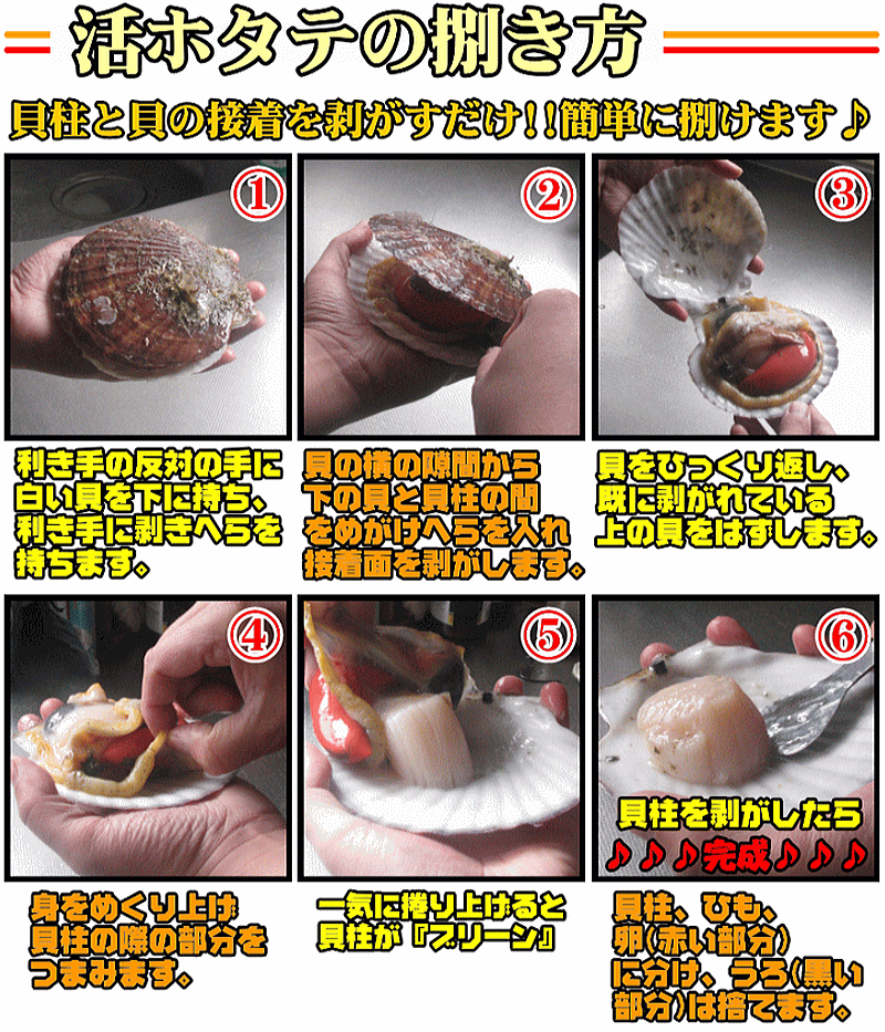 殻付きホタテ さばき方