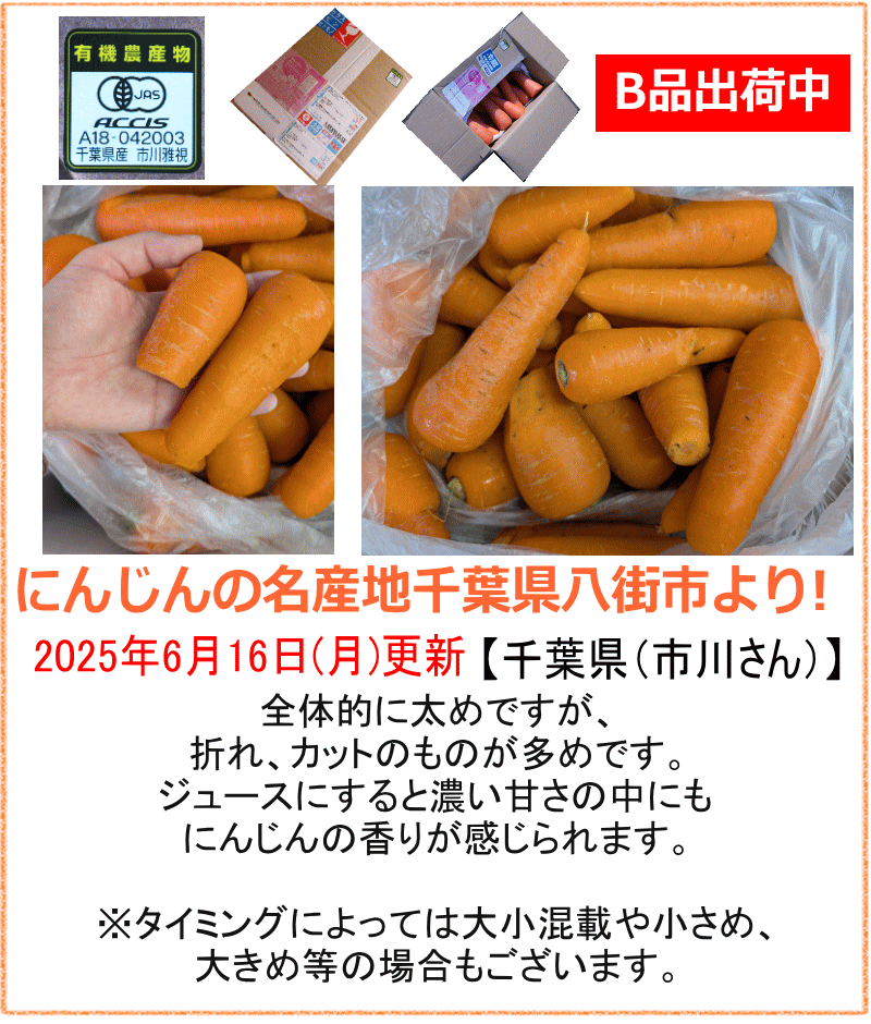 クーポン10%引き！にんじん 無農薬人参 20kg (10kg×2個) 訳あり 有機人参 20キロ クール対応/常温送料無料 産地が選べる 無農薬にんじん ニンジンジュース | オーガニック | 14