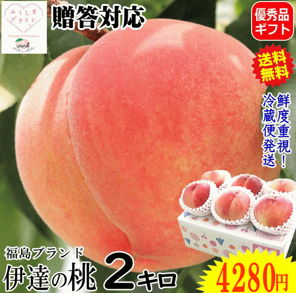    2kg 5ʁ`9  hV v[g Mtg 󂠂ł͂Ȃ  yDGiz  2L ʕ t[c