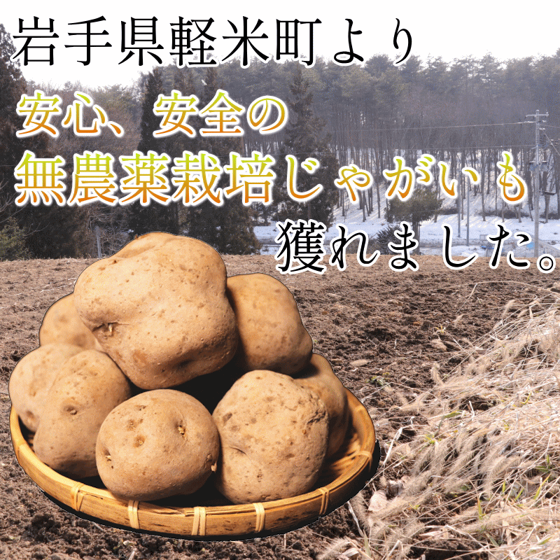 じゃがいも 5kg 送料無料 AB品混合 岩手県産 無農薬栽培 ジャガイモ 訳あり 男爵 キタアカリ 5キロ : f-05k : 青森期待の新人商店  - 通販 - Yahoo!ショッピング