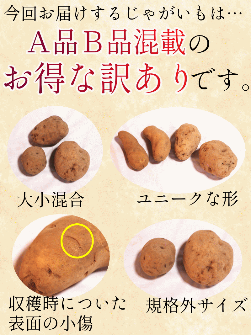 じゃがいも わけあり