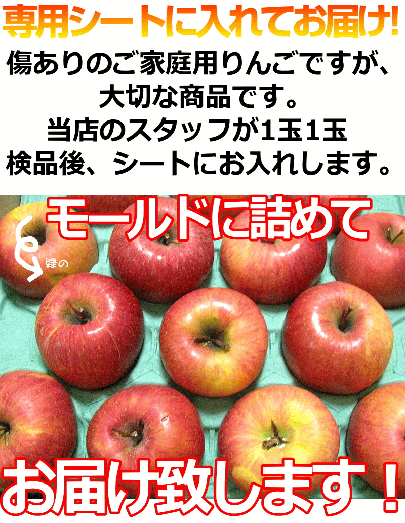家庭用リンゴ モールド梱包