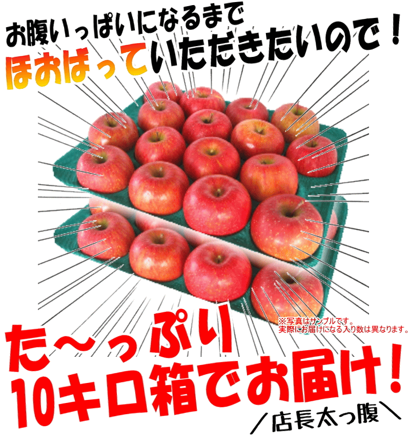 お試し10キロ梱包