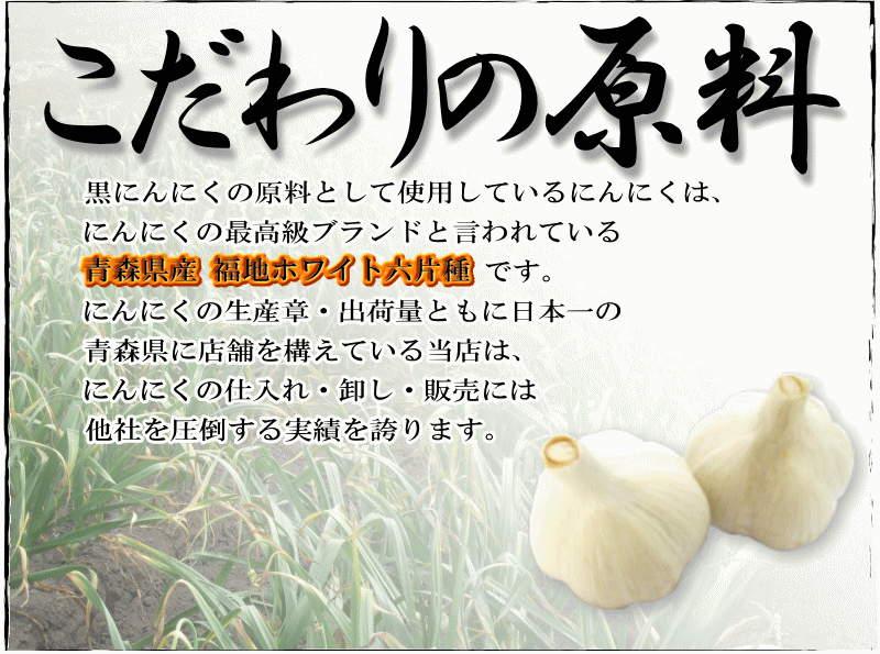 こだわりの原料 青森県産にんにく福地ホワイト六片種