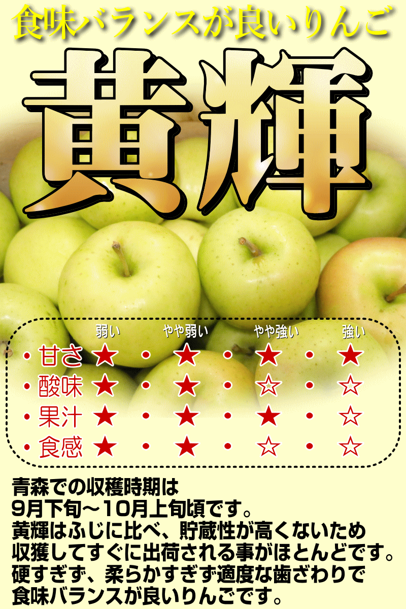 青森 りんご 10kg箱 訳あり サンふじはじめ選べる品種 送料無料 10キロ