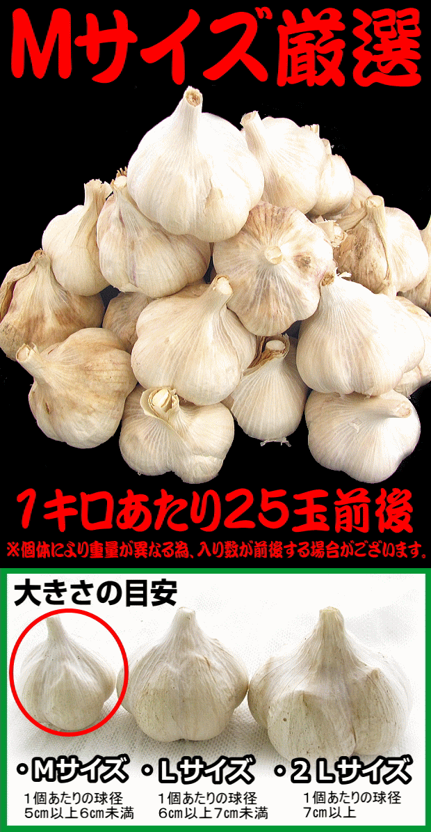 最安値挑戦 にんにく 青森 1kg 訳あり Mサイズ ニンニク 国産 1キロ 厳選にんにく1kg 中国産と比べて 1230 M 青森期待の新人商店 通販 Yahoo ショッピング