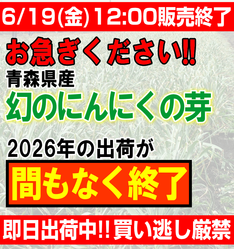 爆買!青森県産 にんにくの芽 500g 1kg...の詳細画像2